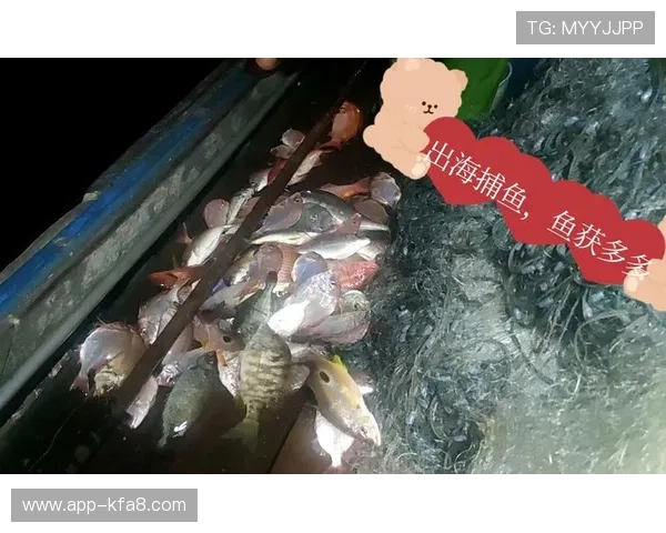 K8捕鱼国际如何选择最佳捕鱼策略,提升获胜几率的实用建议